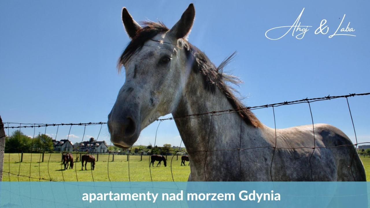 Laba - Basen, Blisko Plazy, Cisza, Taras, Parking, Bezplatne Wifi, Wyjatkowy! Apartamento Gdynia Exterior foto