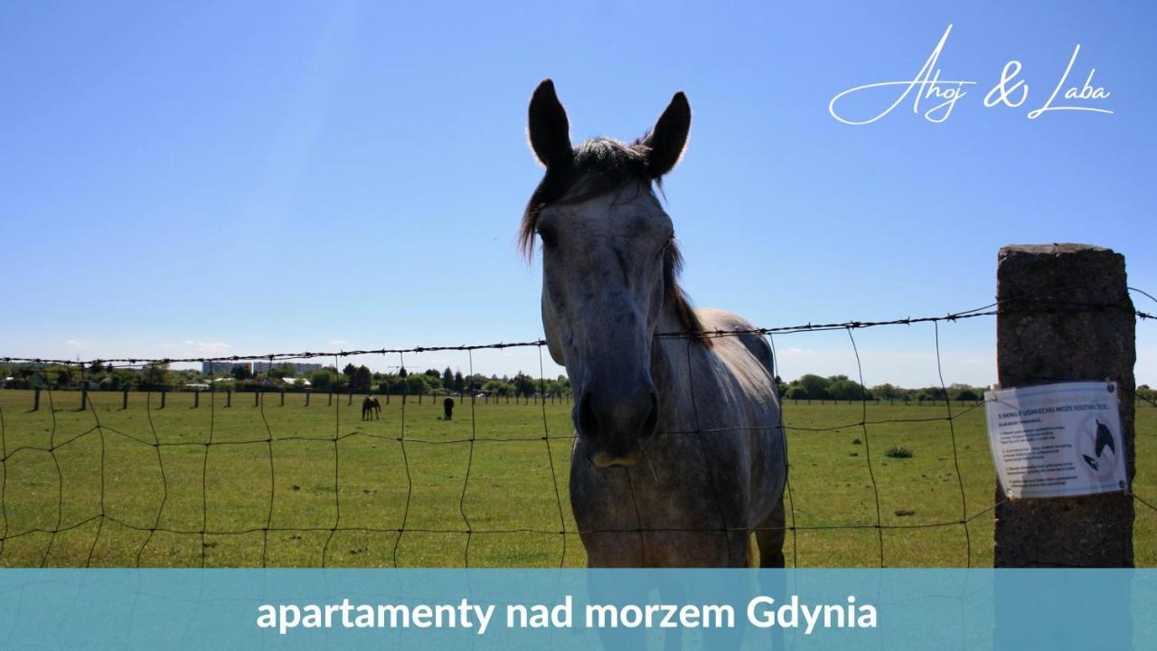 Laba - Basen, Blisko Plazy, Cisza, Taras, Parking, Bezplatne Wifi, Wyjatkowy! Apartamento Gdynia Exterior foto