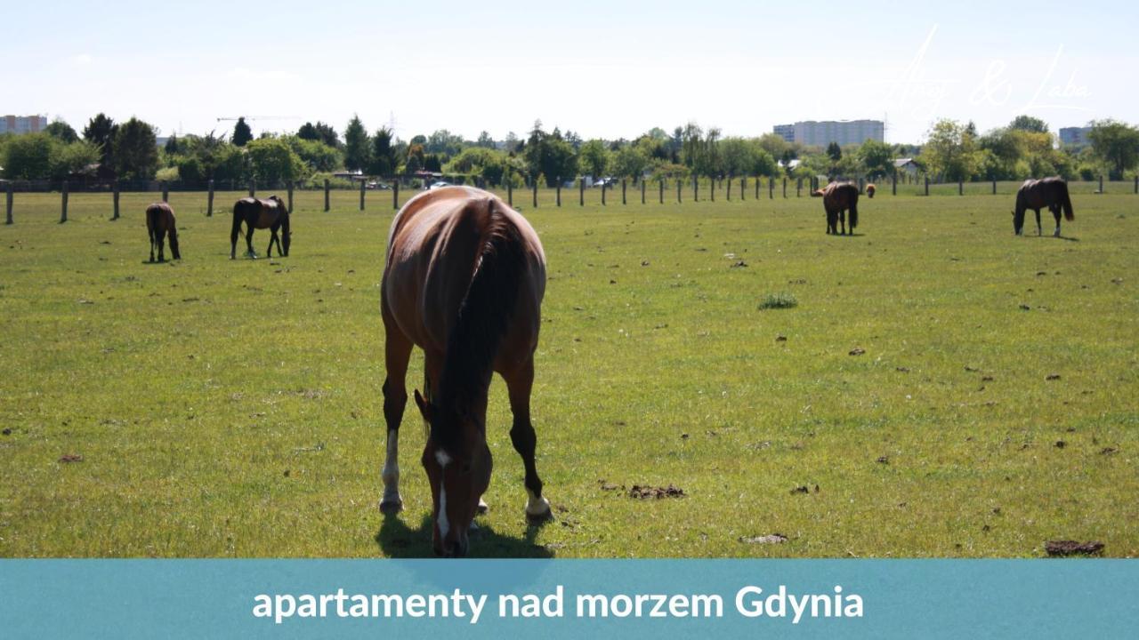 Laba - Basen, Blisko Plazy, Cisza, Taras, Parking, Bezplatne Wifi, Wyjatkowy! Apartamento Gdynia Exterior foto